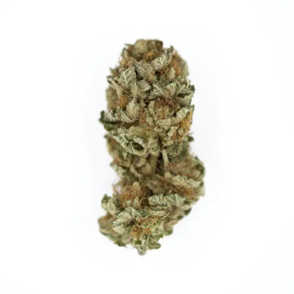 Royal Cookies - Royal Queen Seeds 3 Samen (F) Royal Queen Seeds