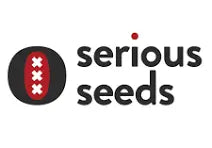 White Russian Regular Seeds - 11 - Greenfrogseedbank