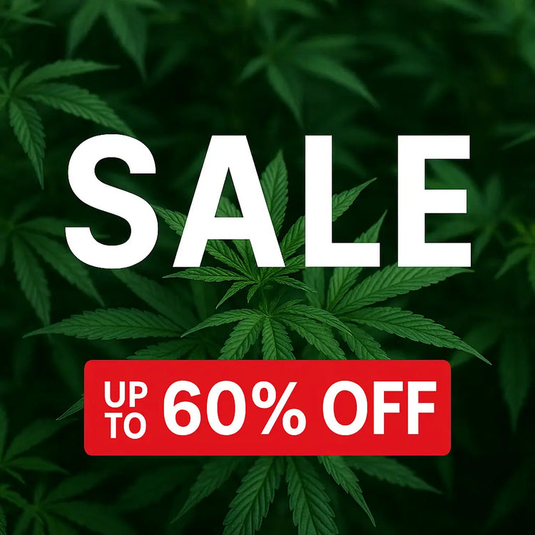 Angebote Cannabis Samen