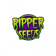 Die besten Cannabissamen für deinen Anbau - Ripper Seeds