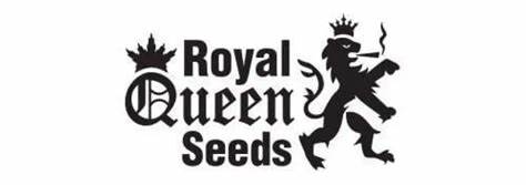 Royal Queen Seeds Tyson