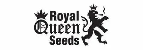 Royal Queen Seeds