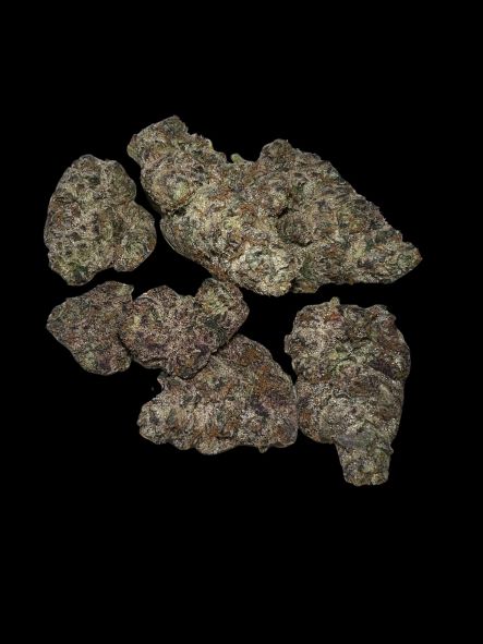 Bubble - Bred by 42 10 Samen