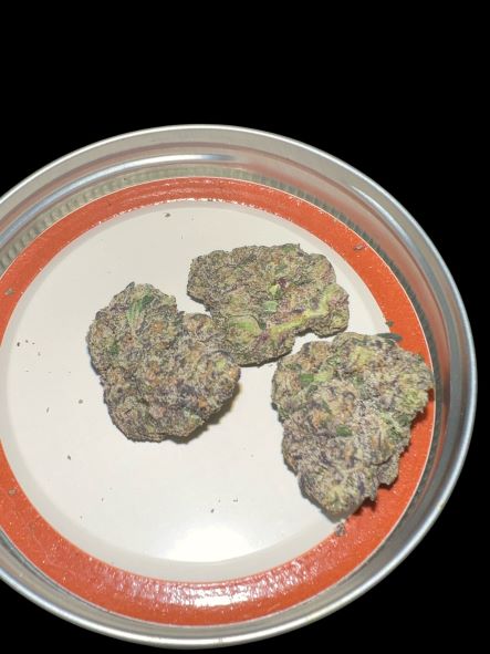 Buttercup - Bred by 42 (10 Samen)